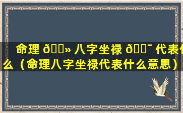 命理 🌻 八字坐禄 🐯 代表什么（命理八字坐禄代表什么意思）